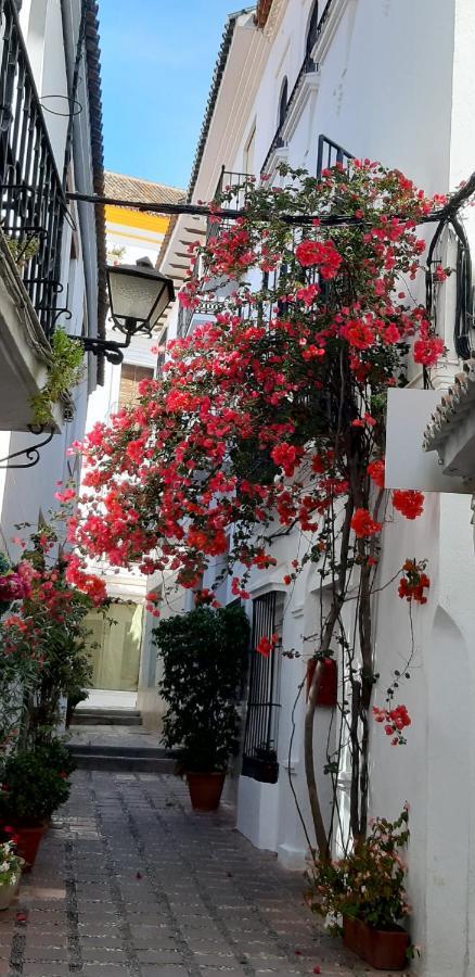 Ferienwohnung Precioso Y Acogedor Atico Old Town Marbella Exterior foto